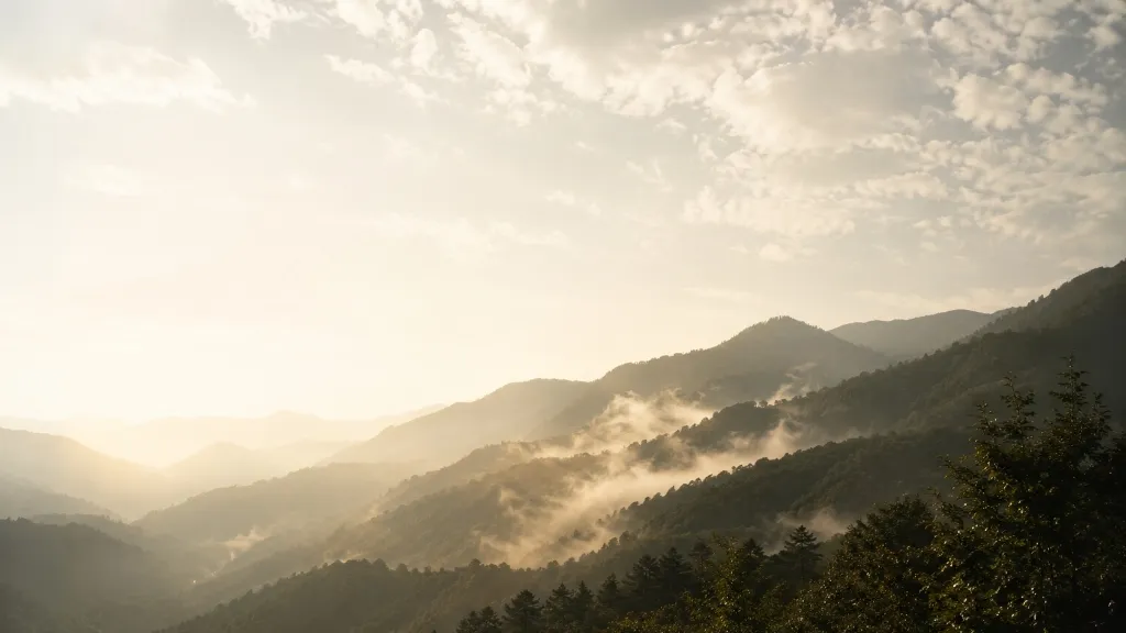 Nebva editorial workspace with a misty mountain landscape at golden hour